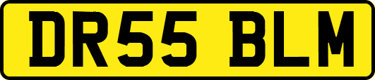 DR55BLM