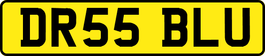 DR55BLU
