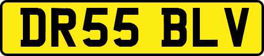 DR55BLV