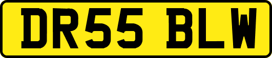 DR55BLW