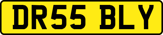 DR55BLY