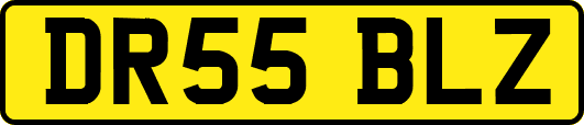 DR55BLZ