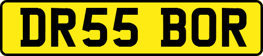DR55BOR