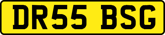 DR55BSG
