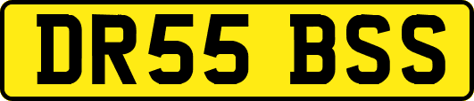 DR55BSS