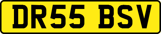 DR55BSV