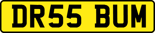 DR55BUM