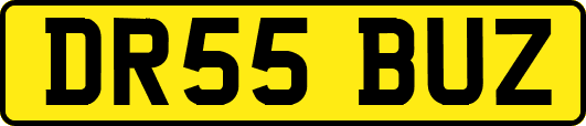 DR55BUZ
