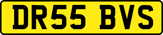 DR55BVS
