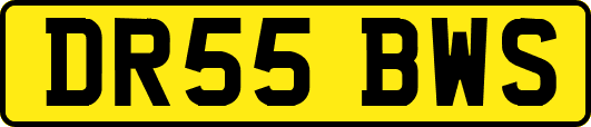 DR55BWS