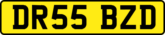 DR55BZD