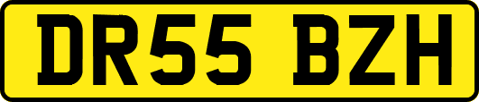DR55BZH