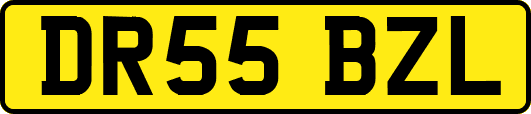 DR55BZL