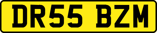 DR55BZM