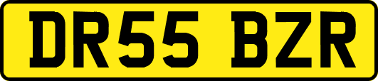DR55BZR