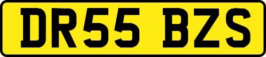 DR55BZS