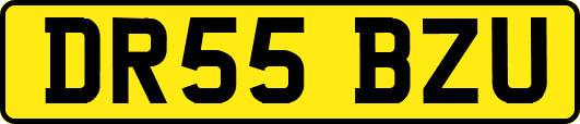 DR55BZU