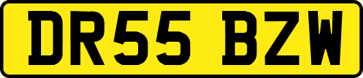 DR55BZW