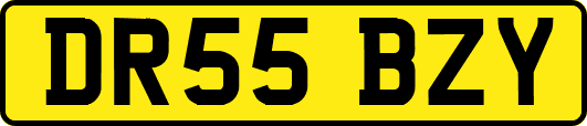 DR55BZY