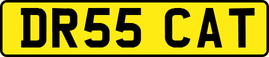 DR55CAT