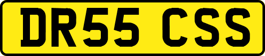 DR55CSS