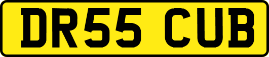 DR55CUB