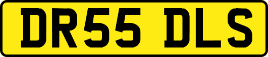 DR55DLS