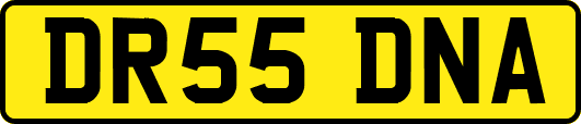 DR55DNA