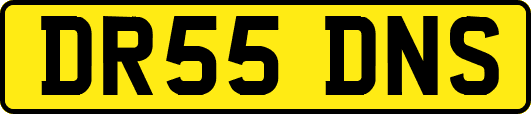 DR55DNS