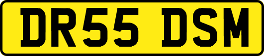 DR55DSM