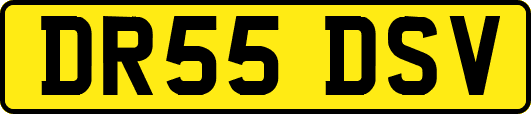 DR55DSV