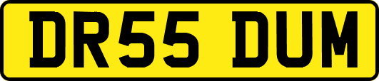 DR55DUM