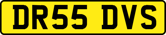 DR55DVS