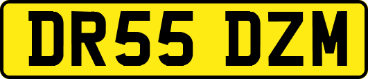 DR55DZM