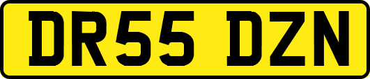 DR55DZN