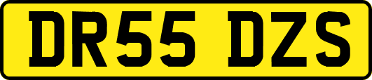 DR55DZS