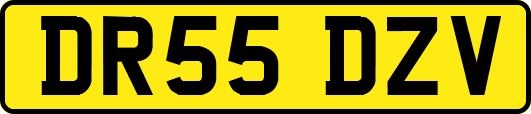DR55DZV