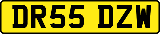 DR55DZW
