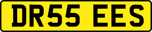 DR55EES