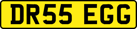 DR55EGG