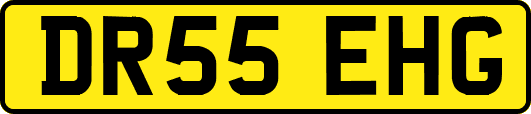 DR55EHG