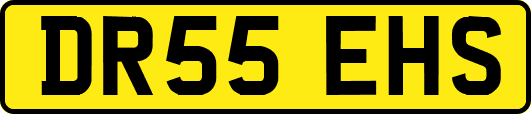 DR55EHS