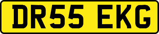 DR55EKG