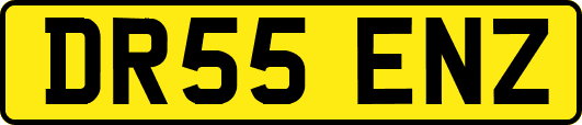 DR55ENZ