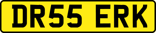 DR55ERK
