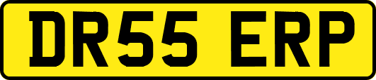 DR55ERP