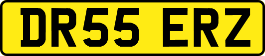 DR55ERZ