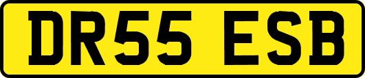 DR55ESB