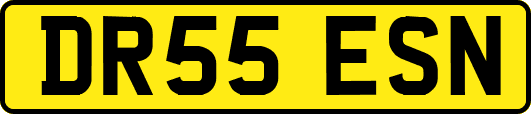 DR55ESN