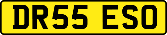 DR55ESO